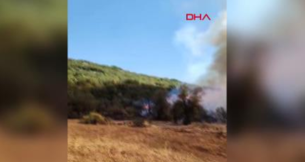 Burdur’da orman yangını!