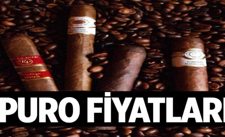 Puro Fiyatlari 1024x622qbk.jpg