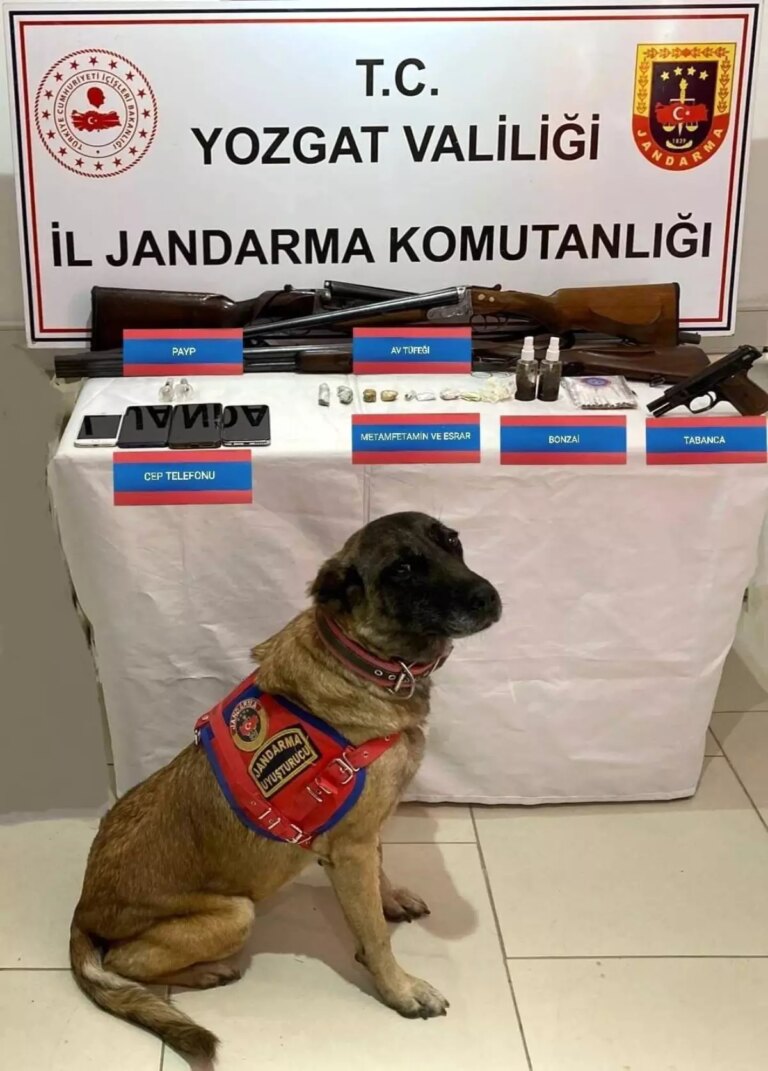 yozgatta-uyusturucu-ticareti-operasyonu-10-kisi-yakalandi-1xQsGbdv.jpg