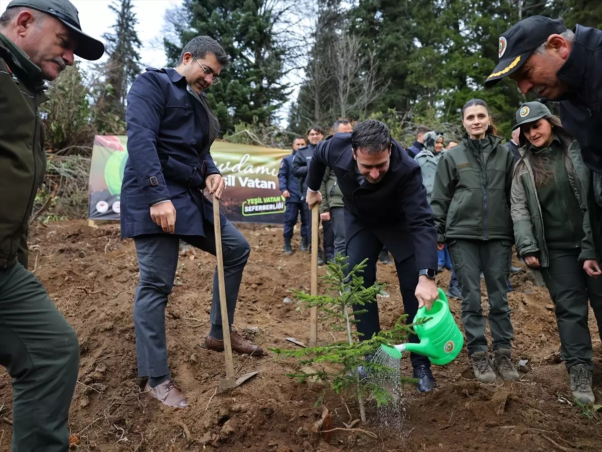 Giresun’da Milli Ağaçlandırma Günü Etkinlikleri Gerçekleştirildi