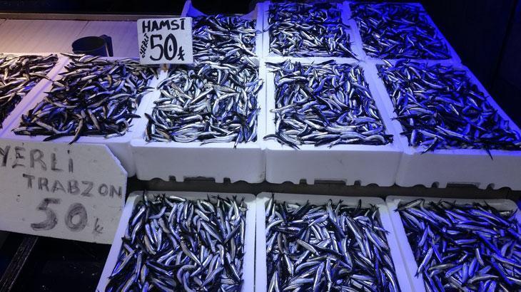 Trabzonlular hamsiye doydu: Kilosu 50 TL’den satılıyor