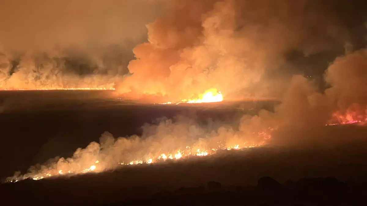 Yüksekova’da Yangın: Nehil Sazlığı Tehdit Altında