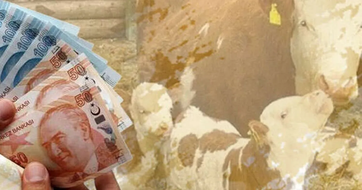 1,46 milyar TL tarımsal destek hesaplarda