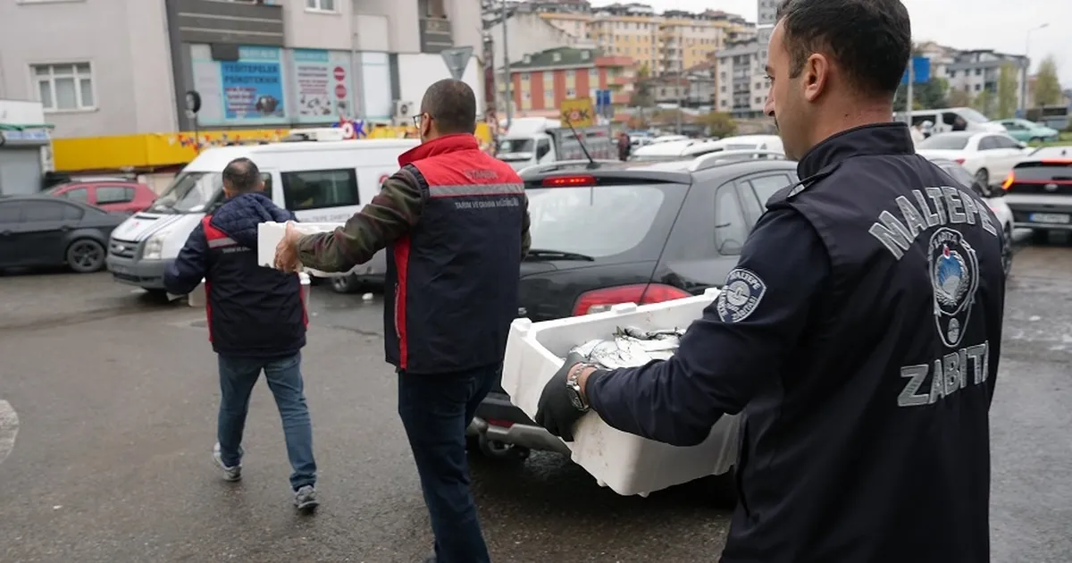 İstanbul Maltepe’de balık denetimi