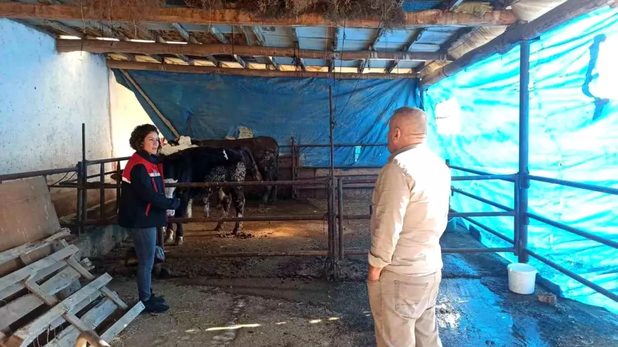 Afyonkarahisar’da ÇMVA Çalışmaları Sürüyor