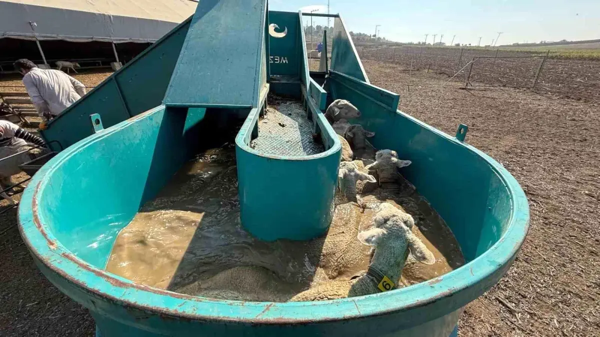 İnegöl Belediyesi’nden Tarıma Büyük Destek