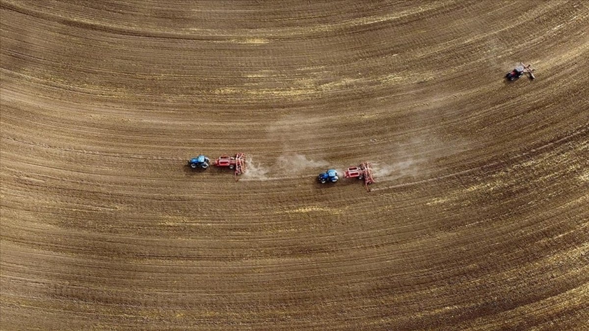 Tarım sayımı sonuçları yılın ikinci yarısında açıklanacak