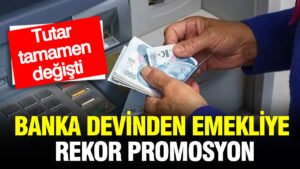 ingden-emekliye-dev-promosyon-zhp735ZJ