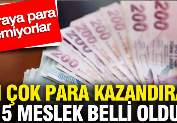 en-cok-para-kazandiran-5-meslek-belli-oldu-paraya-para-demiyorlar-YHuwvpsO