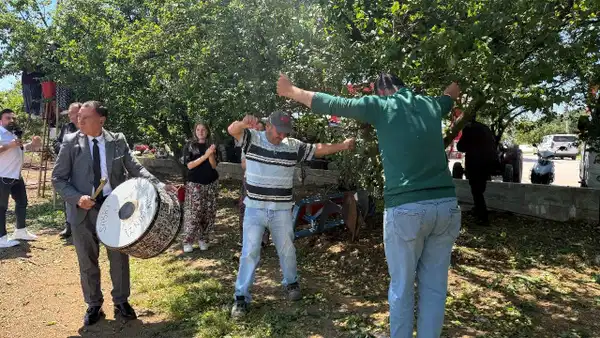Hasat Sevinci: Erik Rekoltesinde 4 Kat Artış Davul ve Zurna Eşliğinde Kutlandı
