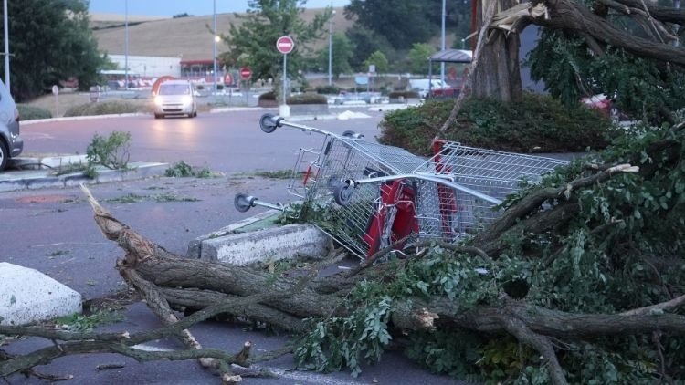 Fransada siddetli firtina 2 kisi oldu 53 bin hane elektriksiz kaldi Mp4bH1iy